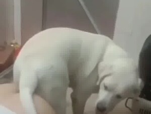son recording mom connecting with dog in the countryside