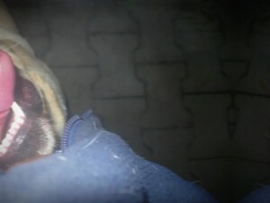 Thumb 8