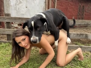 young girl sucks horse cock