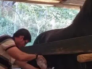 Is he preparing him for something?