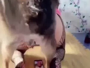 dog fucking my China wife so hard