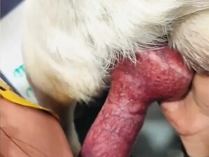 Thumb 10
