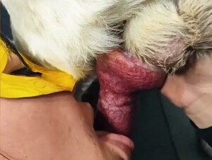 Thumb 7
