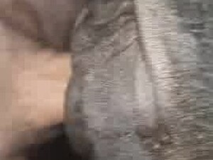 Fucking hottest pussy