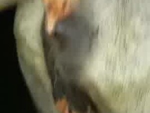 Thumb 8