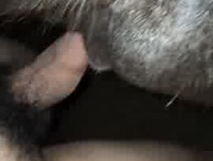 Thumb 6