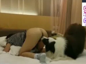 Korean hotel bestiality video