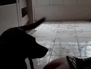 Thumb 7