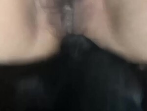 New dog sex videos