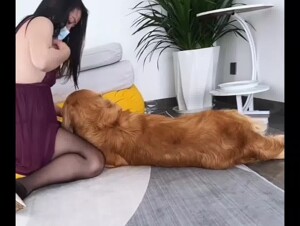 New dog sex videos