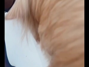 Thumb 8