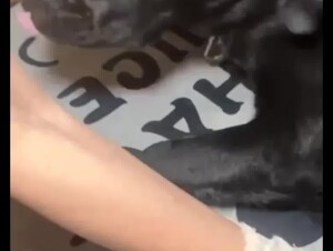 Thumb 7