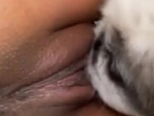 Thumb 6