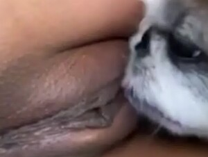 Thumb 7