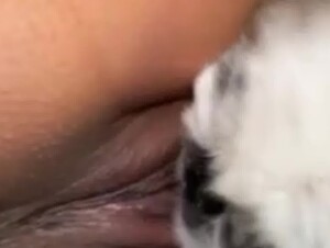 Thumb 8