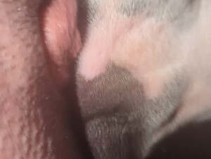 Thumb 6