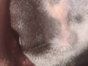 Thumb 7