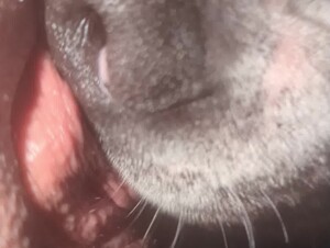 Thumb 8