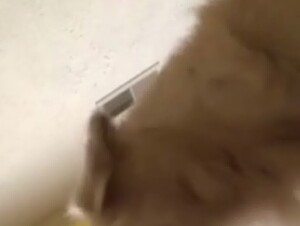 Thumb 9
