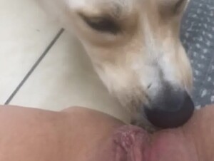 She likes the dog licking her