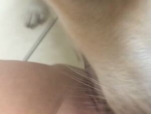 Thumb 10