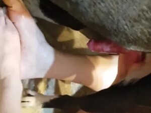 Thumb 10
