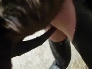 Horse brutal sex creampie