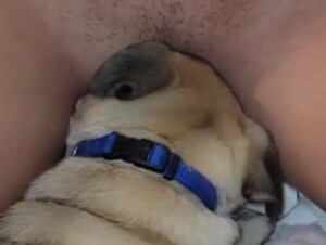 Thumb 6