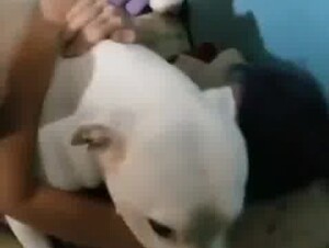 Getting piped