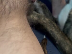 Thumb 6