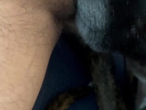 Thumb 9