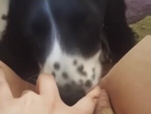 Thumb 6
