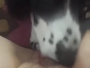 Thumb 8
