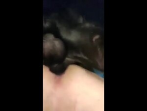 Male dog slut from Latvia named Armands Lusis full of Rotti sperm again