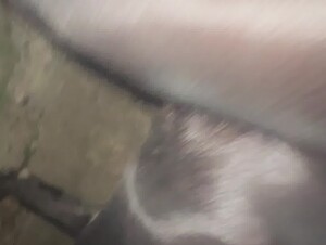 Thumb 7