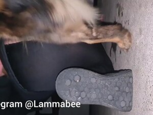 Thumb 7