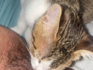 My kitten licks my vagina 🐱🐱💗🌈