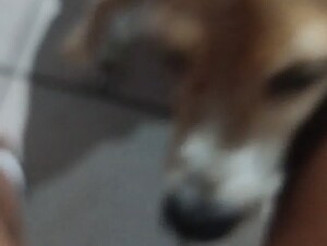 Thumb 8