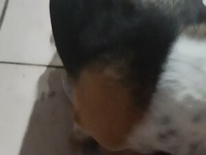 Thumb 9