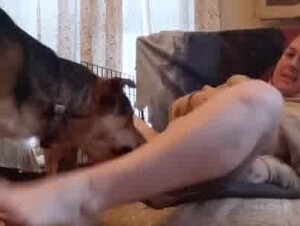 Amateur fat girl, dog sex, creampie