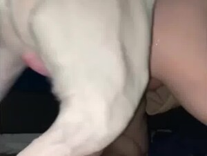 BIG White Dog fucking English petite