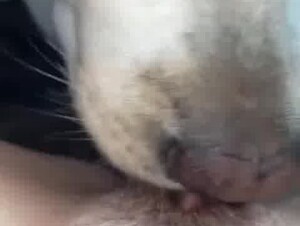 Thumb 10