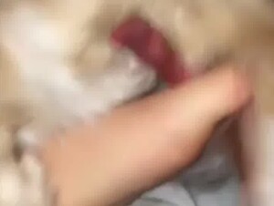 Thumb 8