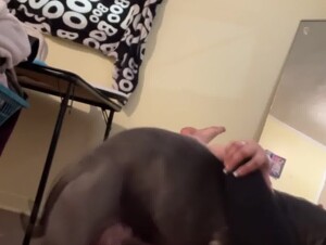 Thumb 6