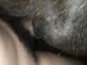 Thumb 8