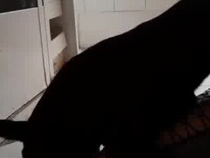 Thumb 6