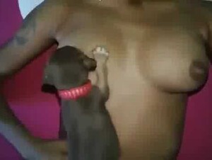 Breastfeeding Puppy 17