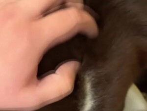 Thumb 10