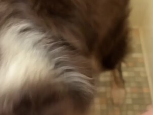 Thumb 6