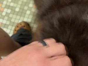Thumb 7